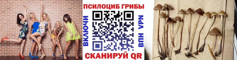 мега ссылка  Черепаново  Галлюциногенные грибы Psilocybine cubensis  где найти наркотики 