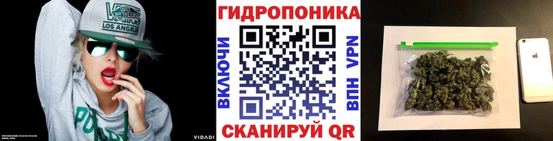 Бошки Шишки Amnesia  купить  сайты  Черепаново 